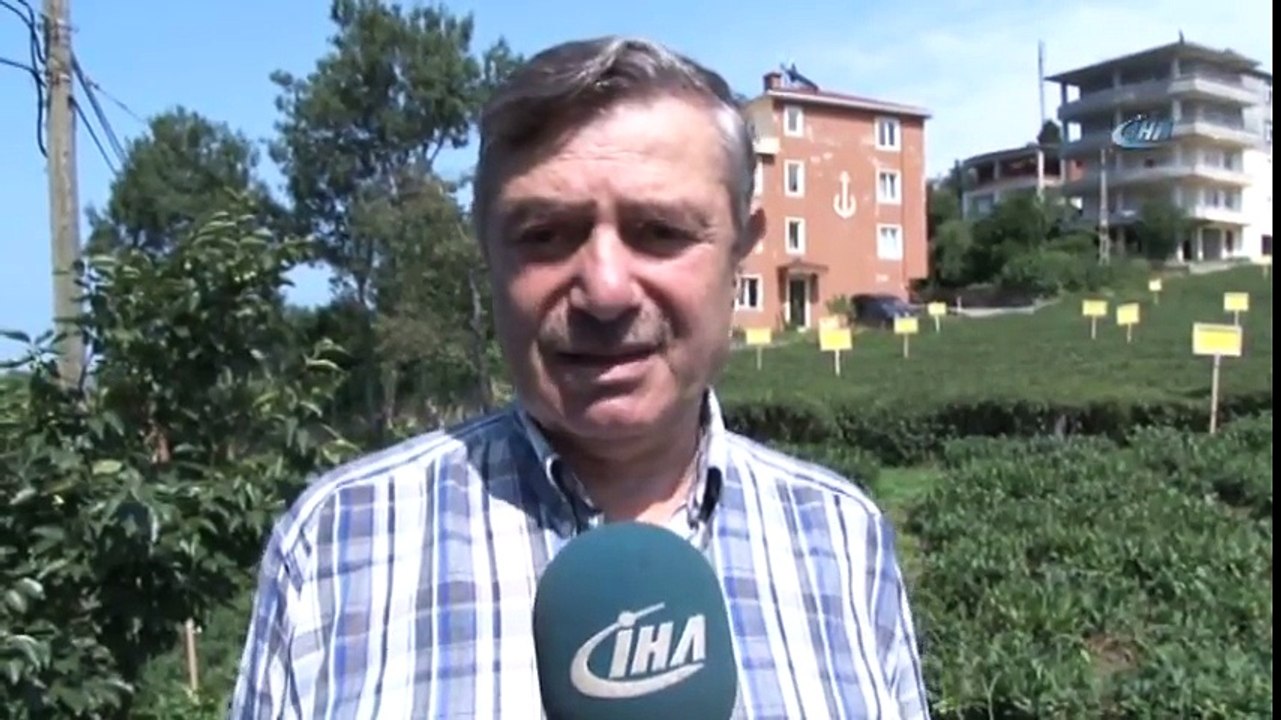 Zararlı Kelebeklere Tuzak Kurdular