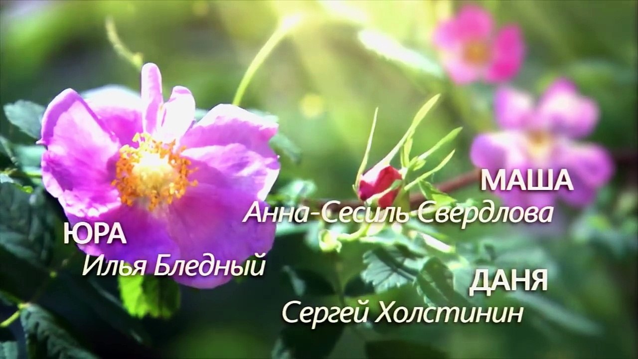 Аромат шиповника. 3 серия (2014) Мелодрама @ Русские сериалы