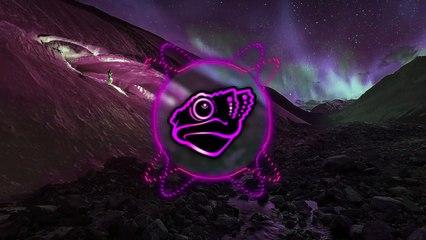 Anywhere the T-Shirt Goes (Lizard Mashup)