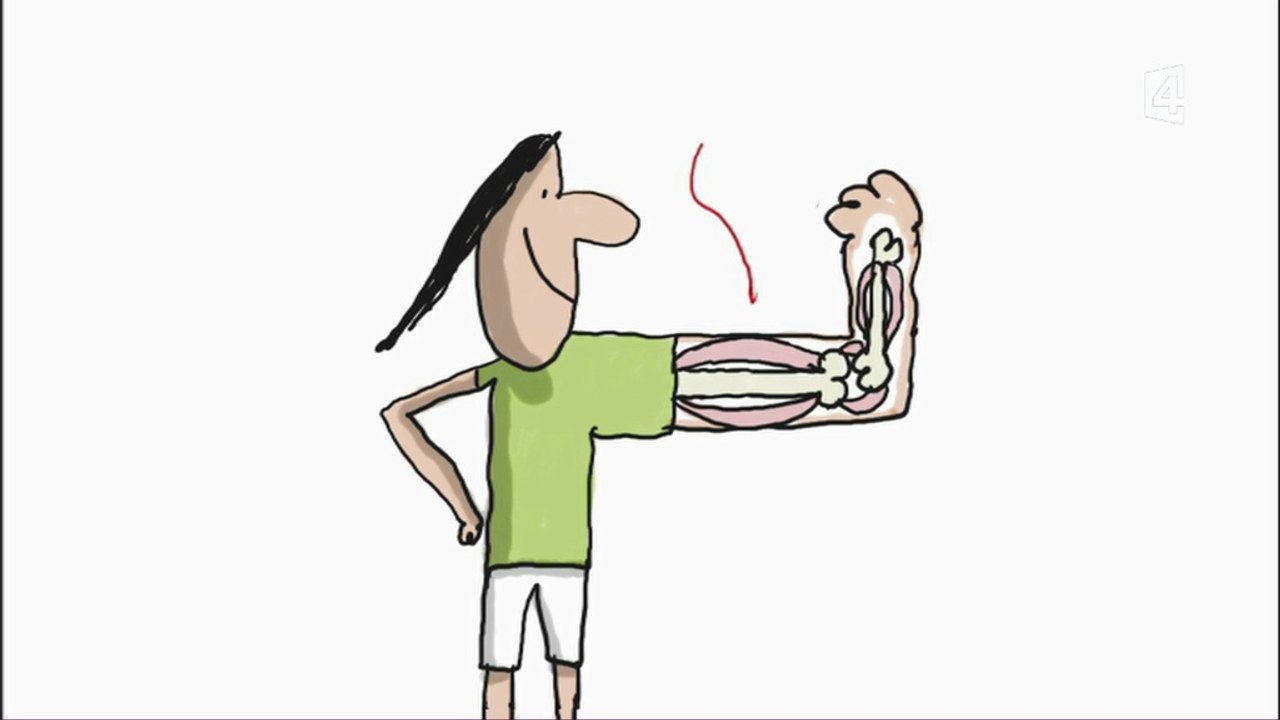 1 jour, 1 question - à quoi ça sert de faire du sport ???