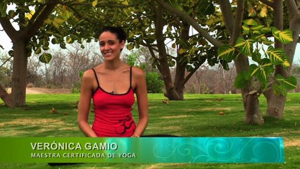 Ananda Yoga