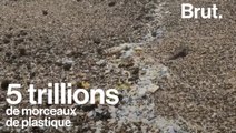 Le microplastique, le plus grand poison des océans
