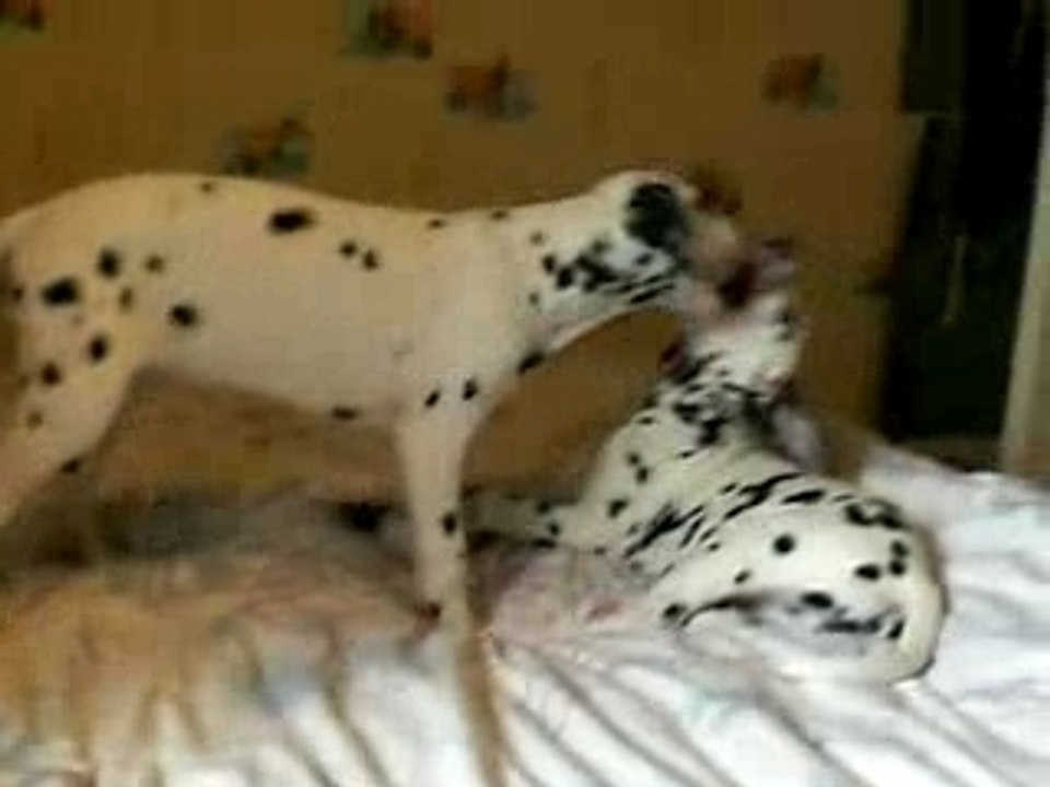 Pearl et Cyana