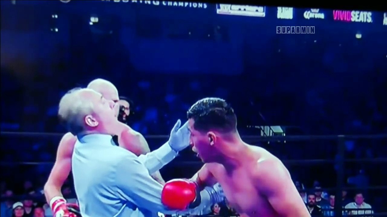 Peristiwa Memalukan Para Wasit di  Tinju Dunia Tarung Bebas MMA