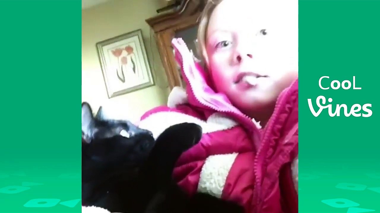 Try Not To Laugh Challenge - Funny Cat & Dog Vines compilation 2017
