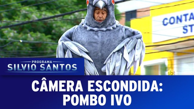 Câmeras Escondidas - Pombo Ivo