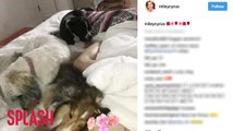 Miley Cyrus Poses Topless With 3 Puppies in Bed