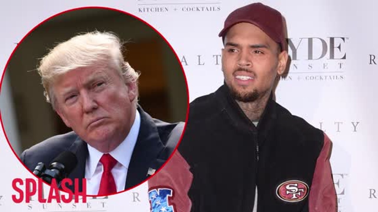 Chris Brown Slams Donald Trump's 'Roughen Up Thugs' Speech