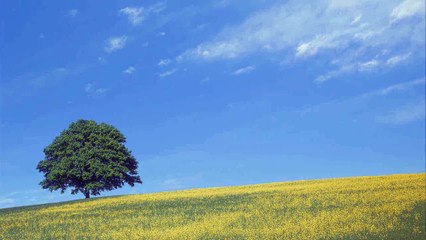 Jabra Headset - The Telecom Shop Pty Ltd