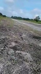 Accidente de avioneta en Rubelsanto, Alta Verapaz