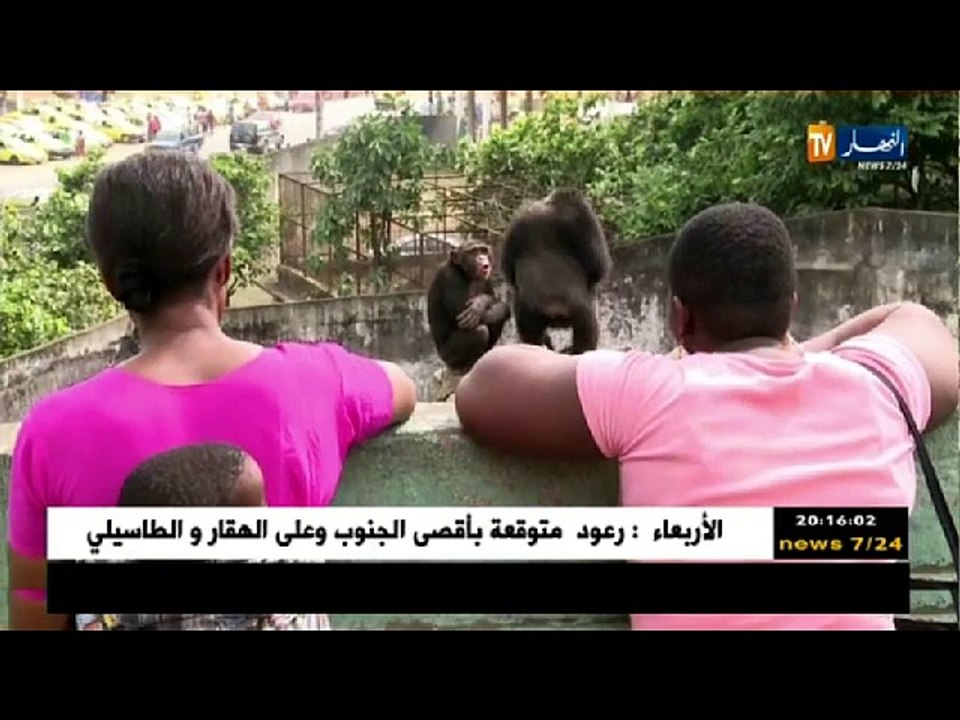 ريبورتاج: المحميات الطبيعية.. حياة  برية تتخبط بين الإستمرارية والزوال