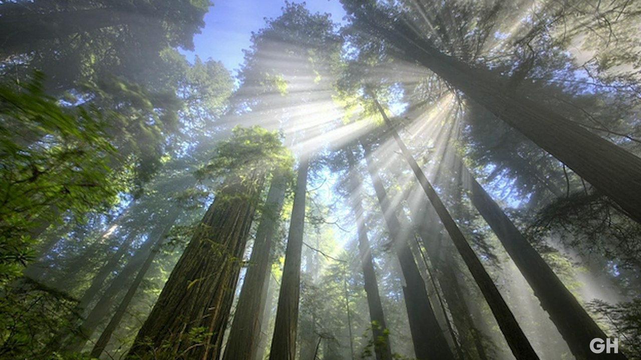 Earth Day