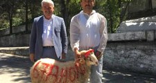 Belediye Başkanı, 500 Bin Liralık Yeni Makam Aracı İçin Kurban Kestirdi