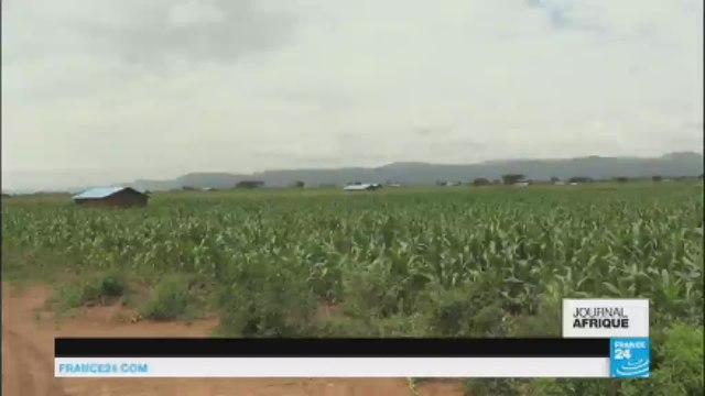 Au Kenya, les victimes des violences de 2007 peinent à faire reconnaître leurs droits