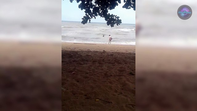 Tourist Filmed Drowning Dog On Beach In Pattaya