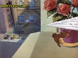 حصريا جميع حلقات كارتون - توم وجيري Tom and Jerry حلقة -56-