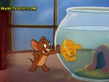 حصريا جميع حلقات كارتون - توم وجيري Tom and Jerry حلقة -57-