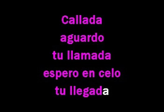 Camilo Sesto y Angela Carrasco - Callados (Karaoke)