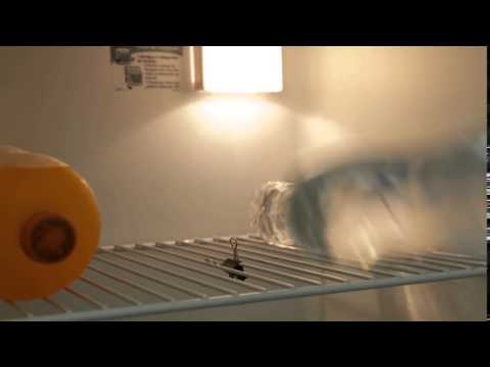 Fika Dika - Como apoiar garrafas na geladeira