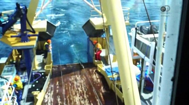 06 Неделя акул Акулы из другого мира акулы-пришельцы