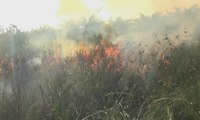 Petugas Kewalahan Padamkan Titik Kebakaran di Riau