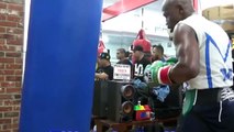 Mayweather vs McGregor Training Side by Side-Mitts, Sparring, Heavy Bag-iQHMMvg2wX4