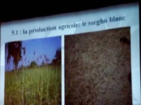 Le BRF au Burkina Fasso