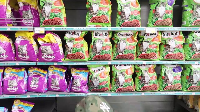 تحدي من أسرع واحد ينطرد من السوبر ماركت (الأمن جا لايفوتكم وش الي صار ) !