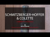 SCHMITZBERGER-HOFFER COLETTE - Avocats à Metz en Moselle.