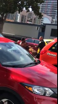 Un chien policier ne veut pas lâcher prise pendant une arrestation (San Diego)