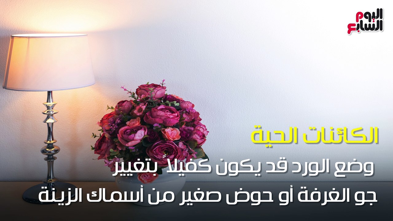 فيديو معلوماتى.. "لو فاضية جربيها".. 5 أفكار بسيطة لتغيير ديكور غرفتك