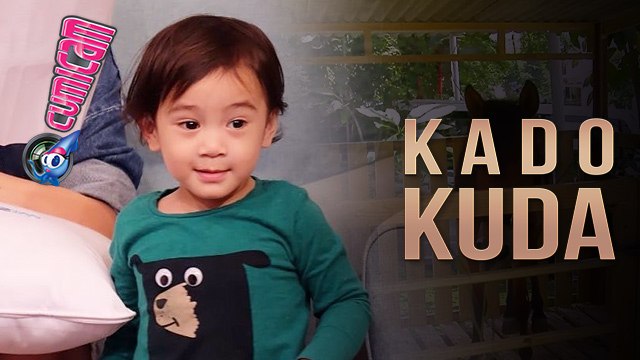 Jelang Ulang Tahun ke-2 Rafathar Dapat Kado Kuda Poni dari Nenek - Cumicam 02 Agustus 2017