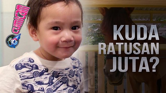 Kuda Poni Kado Ultah Rafathar Seharga 100 Juta? - Cumicam 02 Agustus 2017