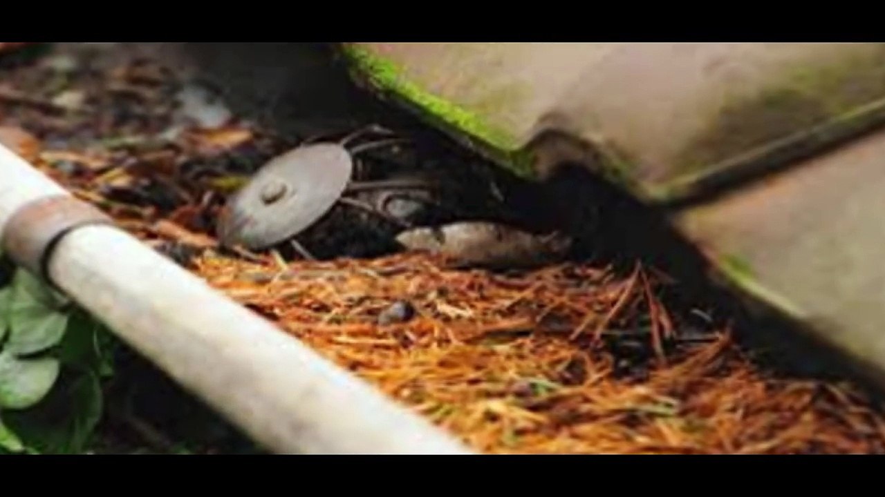 Αποφραξεις - Απολυμάνσεις Κορωπί – 2294028060 – Apofraχeis - Apolimanseis Koropi