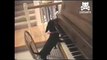 Dog Plays Piano and Sings Along