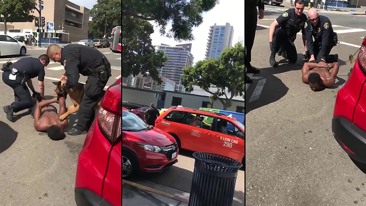 Un chien policier ne veut pas lâcher prise pendant une arrestation