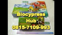 0815-7109-993 | Jual BioCypress Jakarta | Obat Kolesterol Jakarta