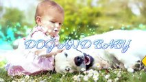 Labrador Retriever Puppy and Baby become best friends - Puppy & Baby funny and cute