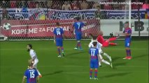 Viktoria Plzen 1-4 FC Steaua București Goals & Highlights