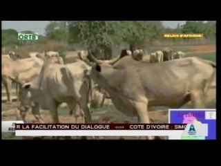 Diffusion en direct de Afrique Media : La Télévison Panafricaine