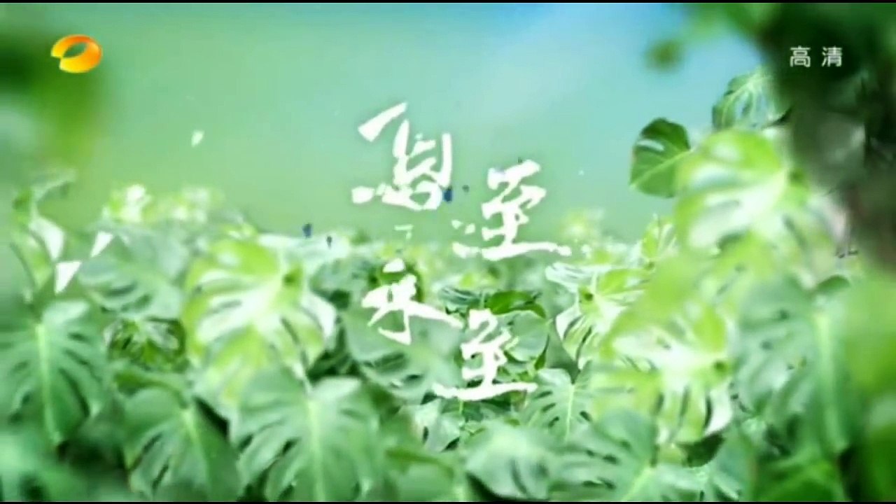 【夏至未至】第26集预告：傅小司吃立夏的醋，遇见为解约灌酒赔罪！