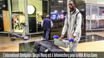 Nba Africa Game: Arrivée de Gorgui sy dieng à Johannesburg