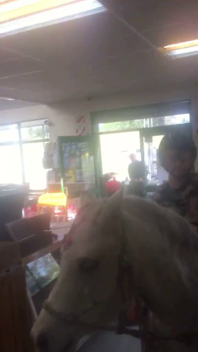 Faire ses courses à cheval au supermarché ? Normal !