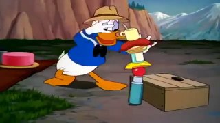 Chip and Dale Funny Chipmunk - Best Friend Pluto Donald Duck [1]