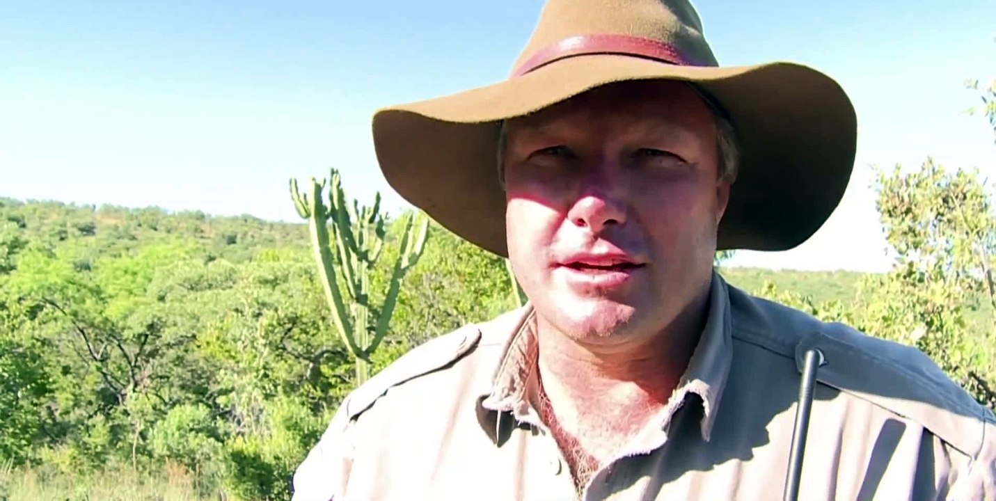 Finding rare baby rhino, on safari, in South Africa