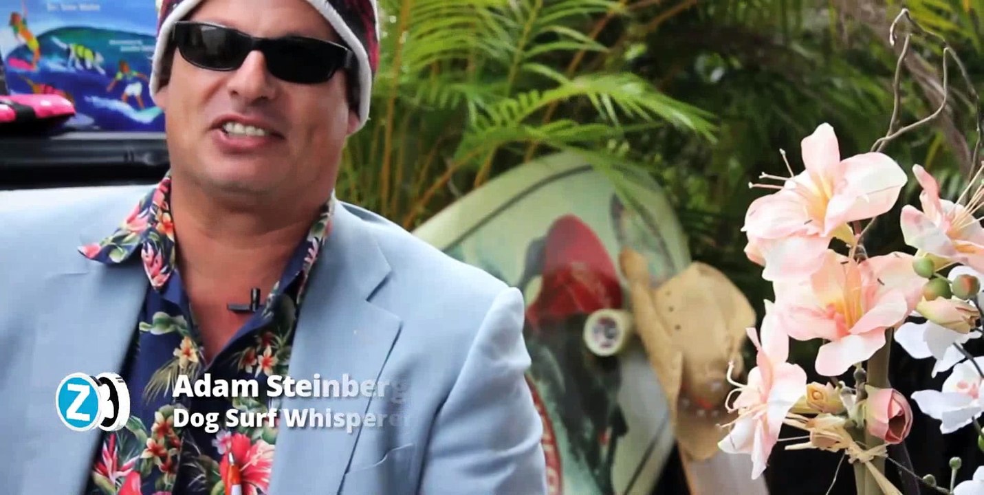 Surfing dogs catching waves and wagging tails