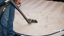 Professional Carpet Cleaning Services In Guildford & All Woking Areas