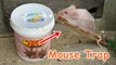 How To Make Bucket Mouse Trap - Rat Trap