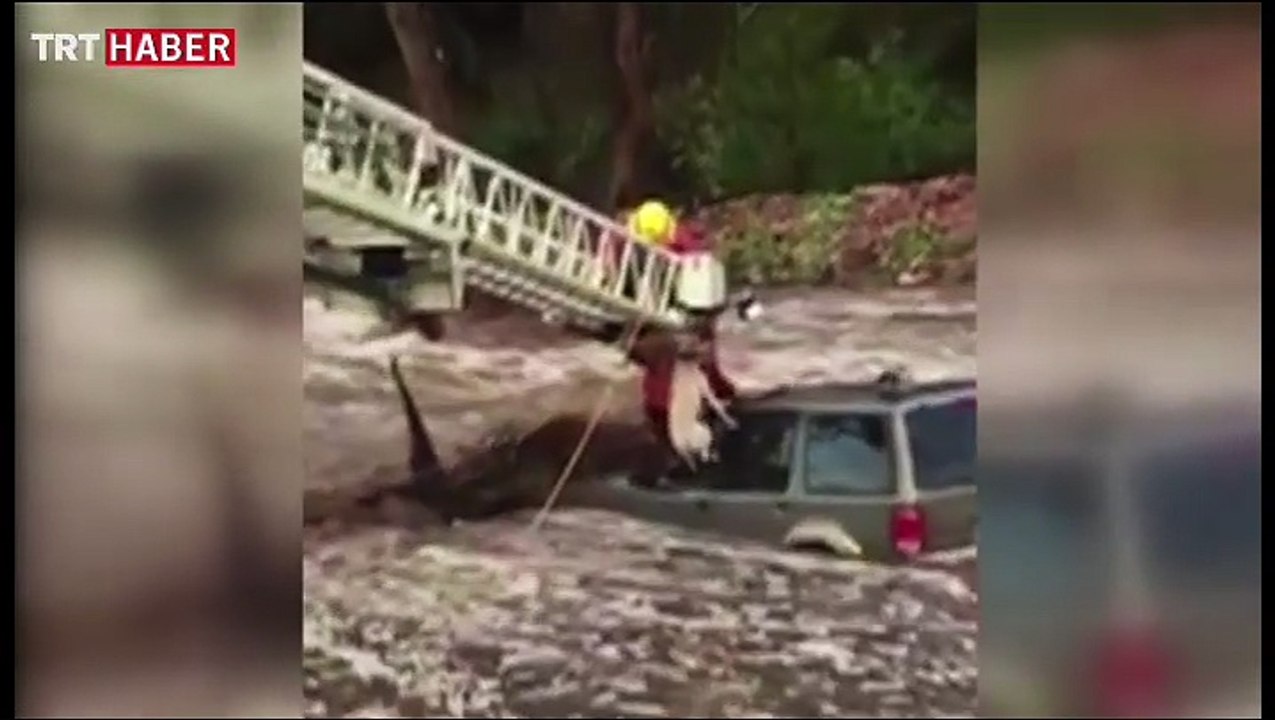 Köpek kurtarma operasyonu