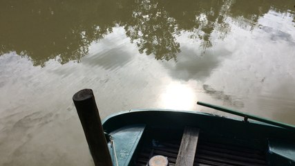 Une cabane flottante comme chambre d'hôtes